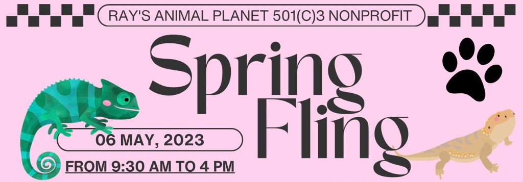 The Spring Fling is on&nbsp;Saturday!