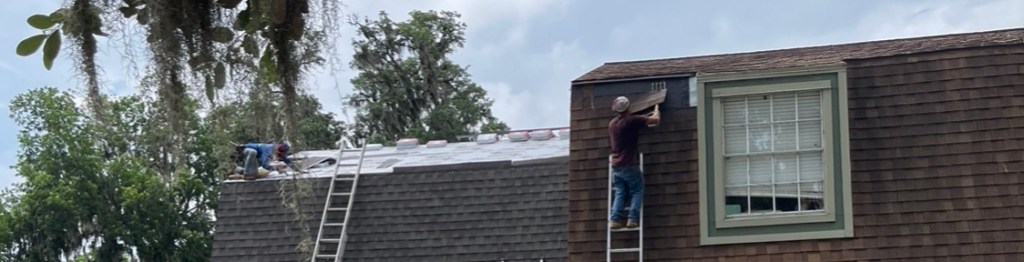 Home repairs, mama cats and kittens- OH&nbsp;MY!