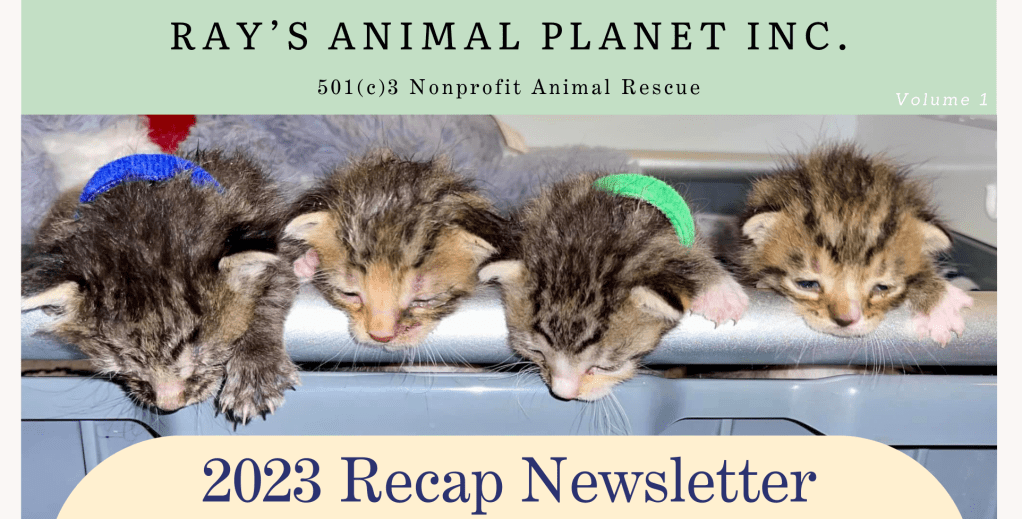 Our 2023 Recap Newsletter!
