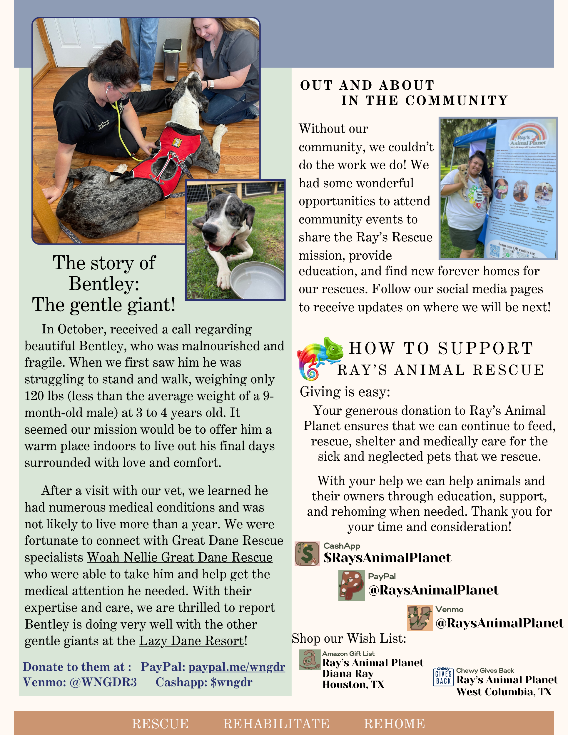 Our 2023 Recap Newsletter!